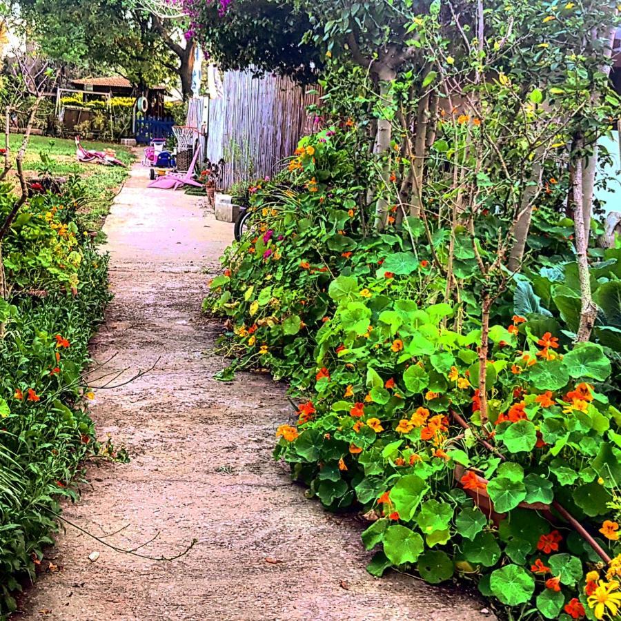 Kibbutz Nachshon Bed and Breakfast Esterno foto