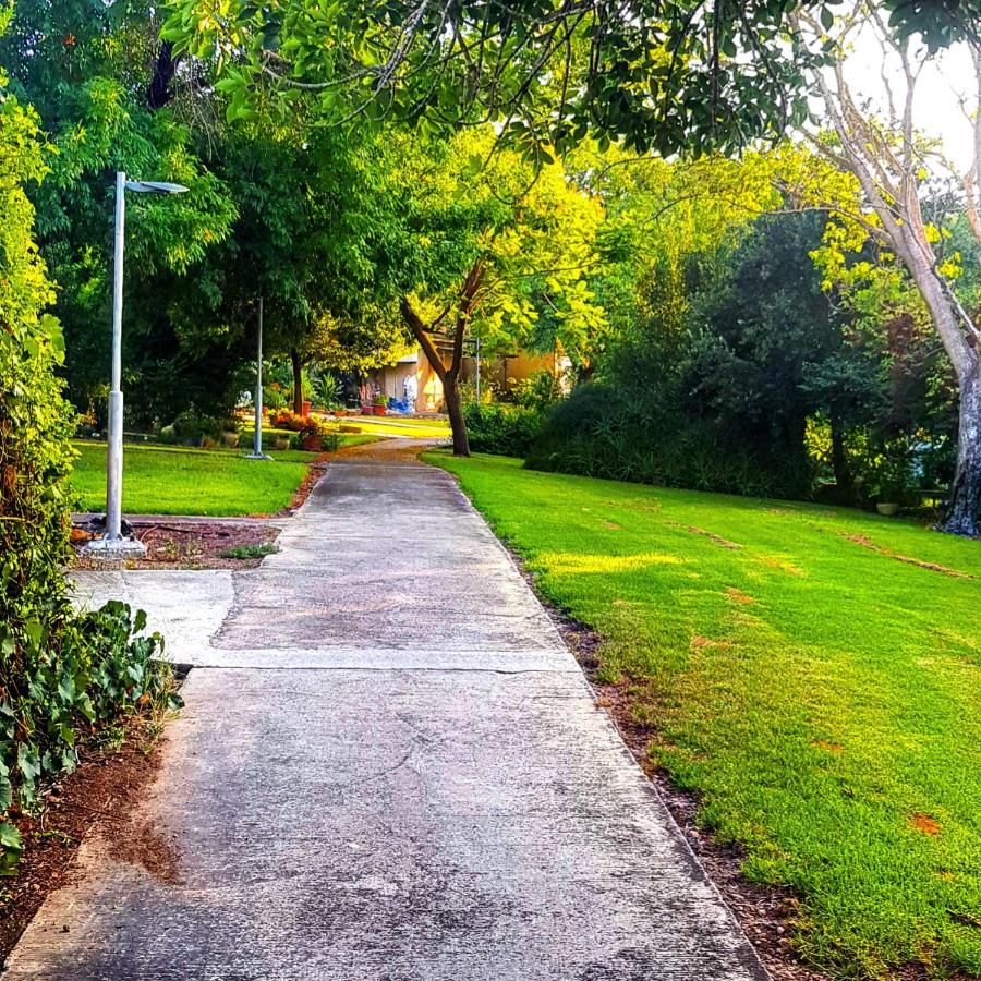 Kibbutz Nachshon Bed and Breakfast Esterno foto