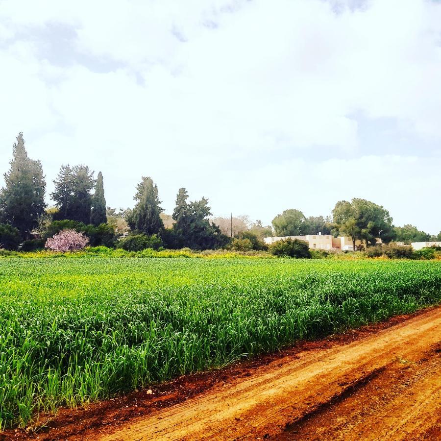 Kibbutz Nachshon Bed and Breakfast Esterno foto